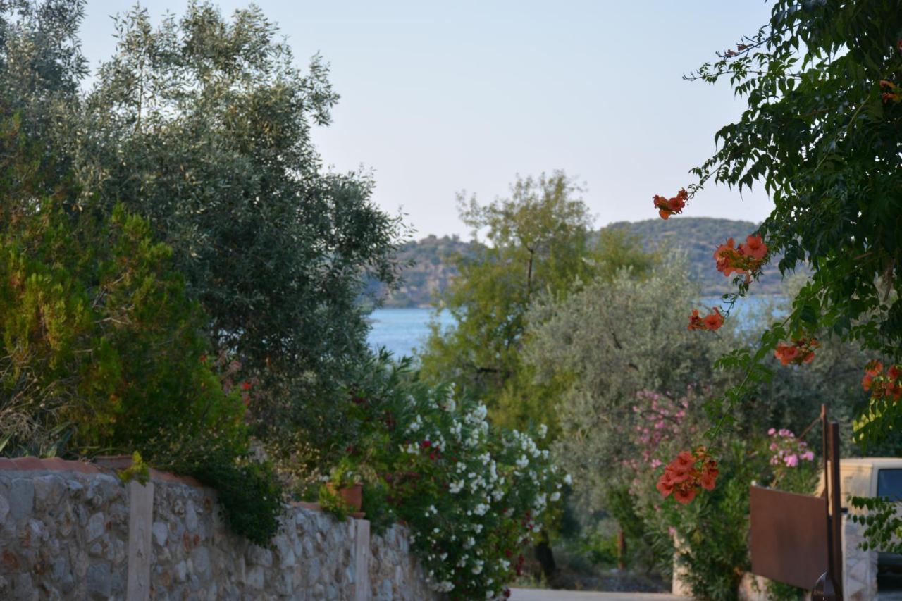 Aristotelis Epidaurus Экстерьер фото