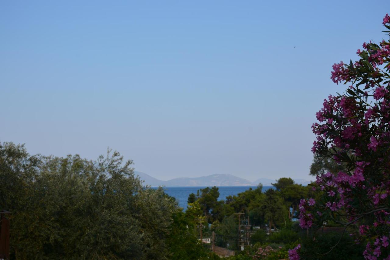 Aristotelis Epidaurus Экстерьер фото